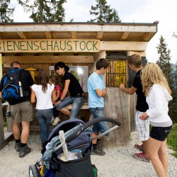 Haus Katja in Wagrain, Sommerurlaub im Salzburger Land