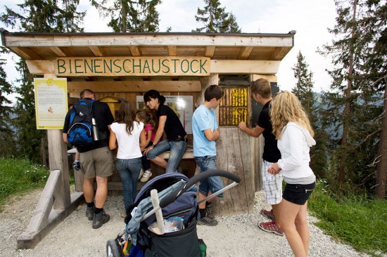 Haus Katja in Wagrain, Sommerurlaub im Salzburger Land