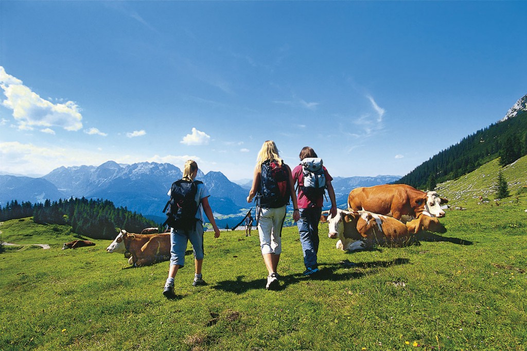Haus Katja in Wagrain, Sommerurlaub im Salzburger Land