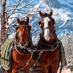 Haus Katja in Wagrain, Winterurlaub im Salzburger Land