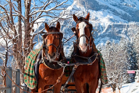 Haus Katja in Wagrain, Winterurlaub im Salzburger Land