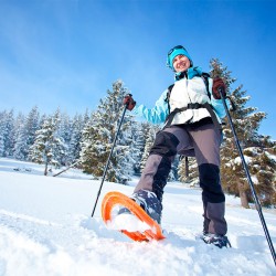 Haus Katja in Wagrain, Winterurlaub im Salzburger Land