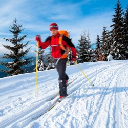 Haus Katja in Wagrain, Winterurlaub im Salzburger Land